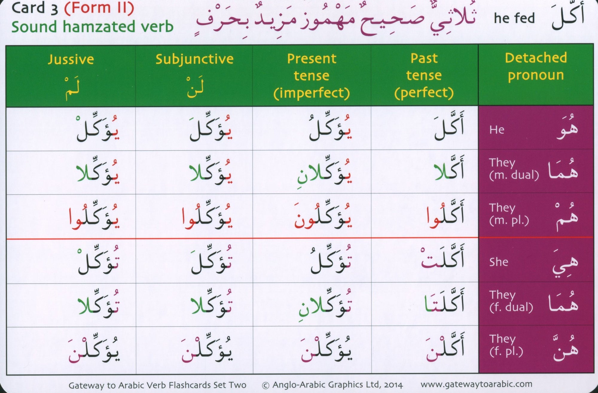 Gateway to Arabic Verb Conjugation Flashcards Set 2 مفتاح العربية