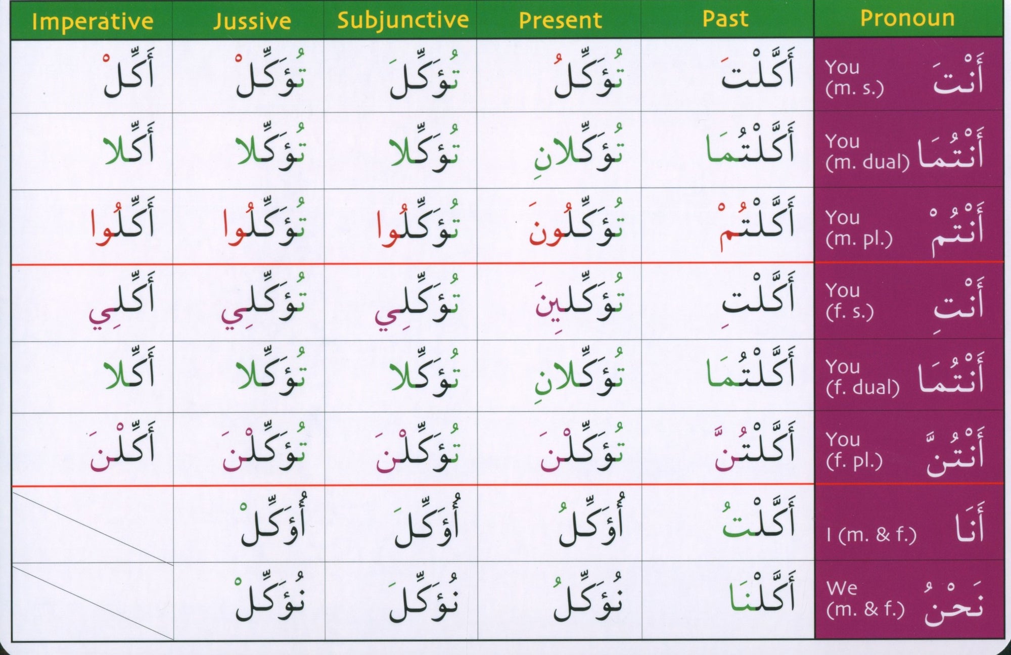 Gateway to Arabic Verb Conjugation Flashcards Set 2 مفتاح العربية