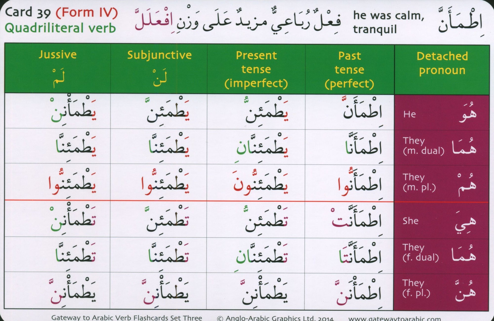 Gateway to Arabic Verb Conjugation Flashcards Set 3 مفتاح العربية