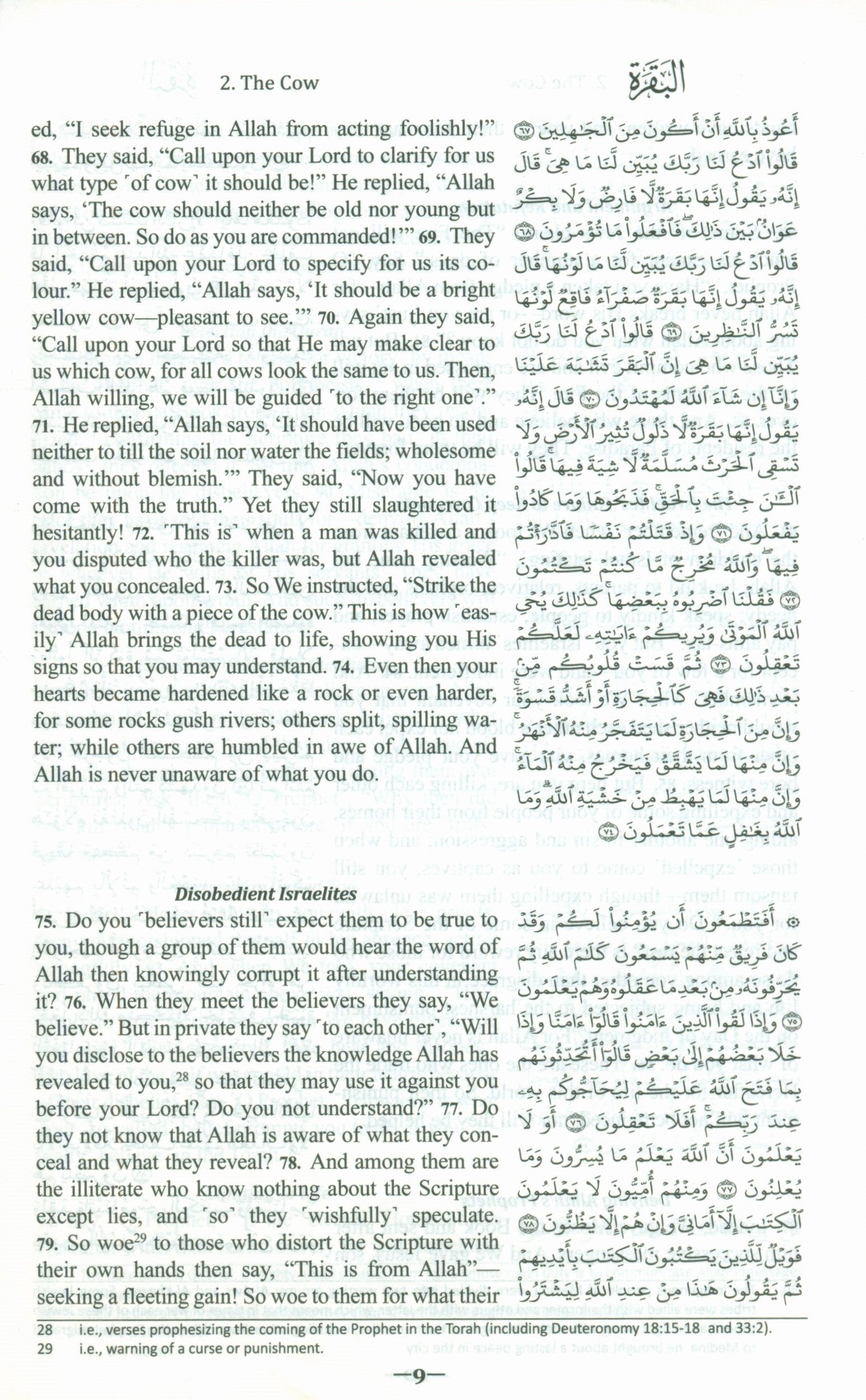 The Clear Quran with Arabic Text - Parallel Edition Hardcover