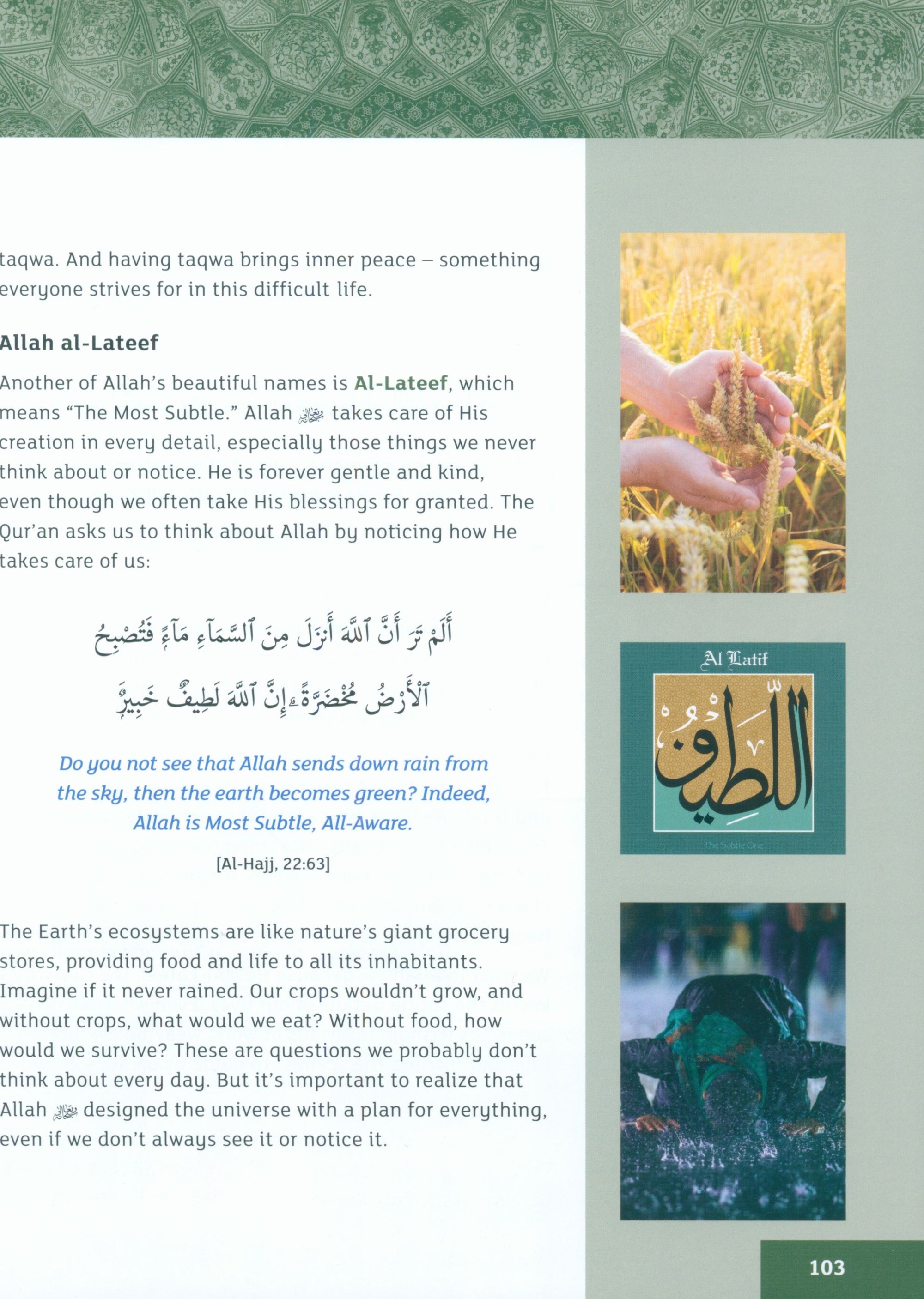 IQRA WISE Grade 7: Textbook