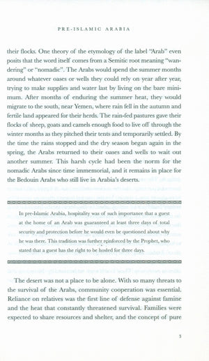 Lost Islamic History: Reclaiming Muslim Civilization from the Past