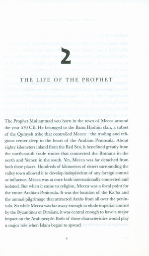 Lost Islamic History: Reclaiming Muslim Civilization from the Past