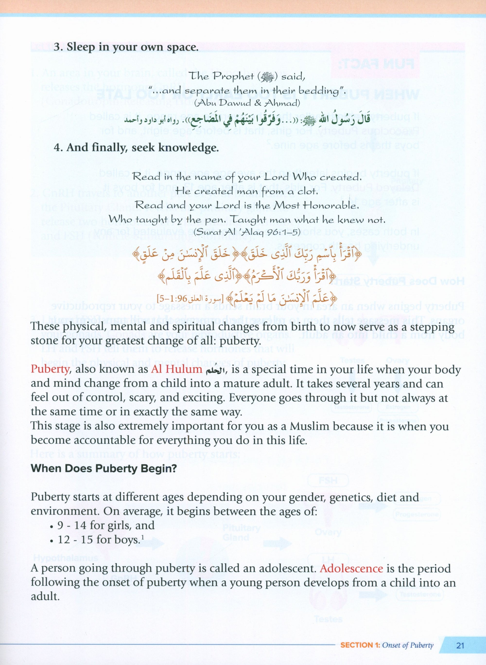 Health and Wellness (From an Islamic  Perspective) Leve 2