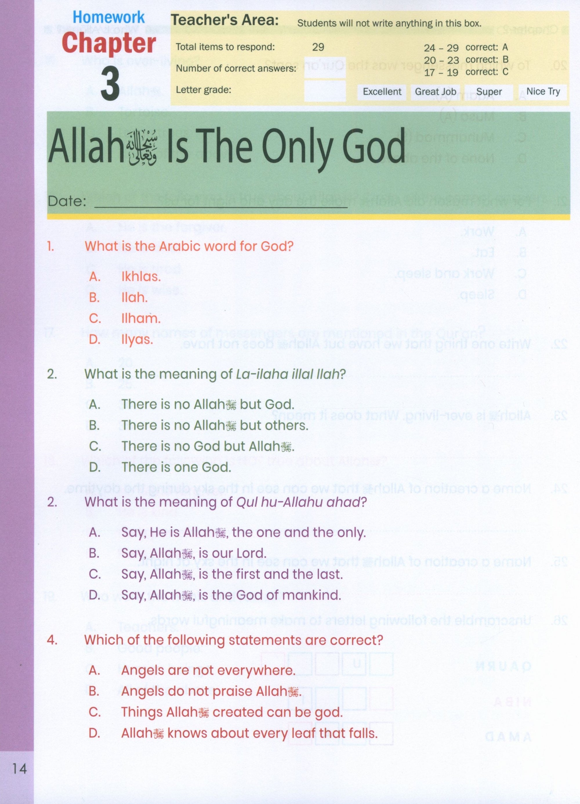 The Message of Islam (Workbook): Level 1