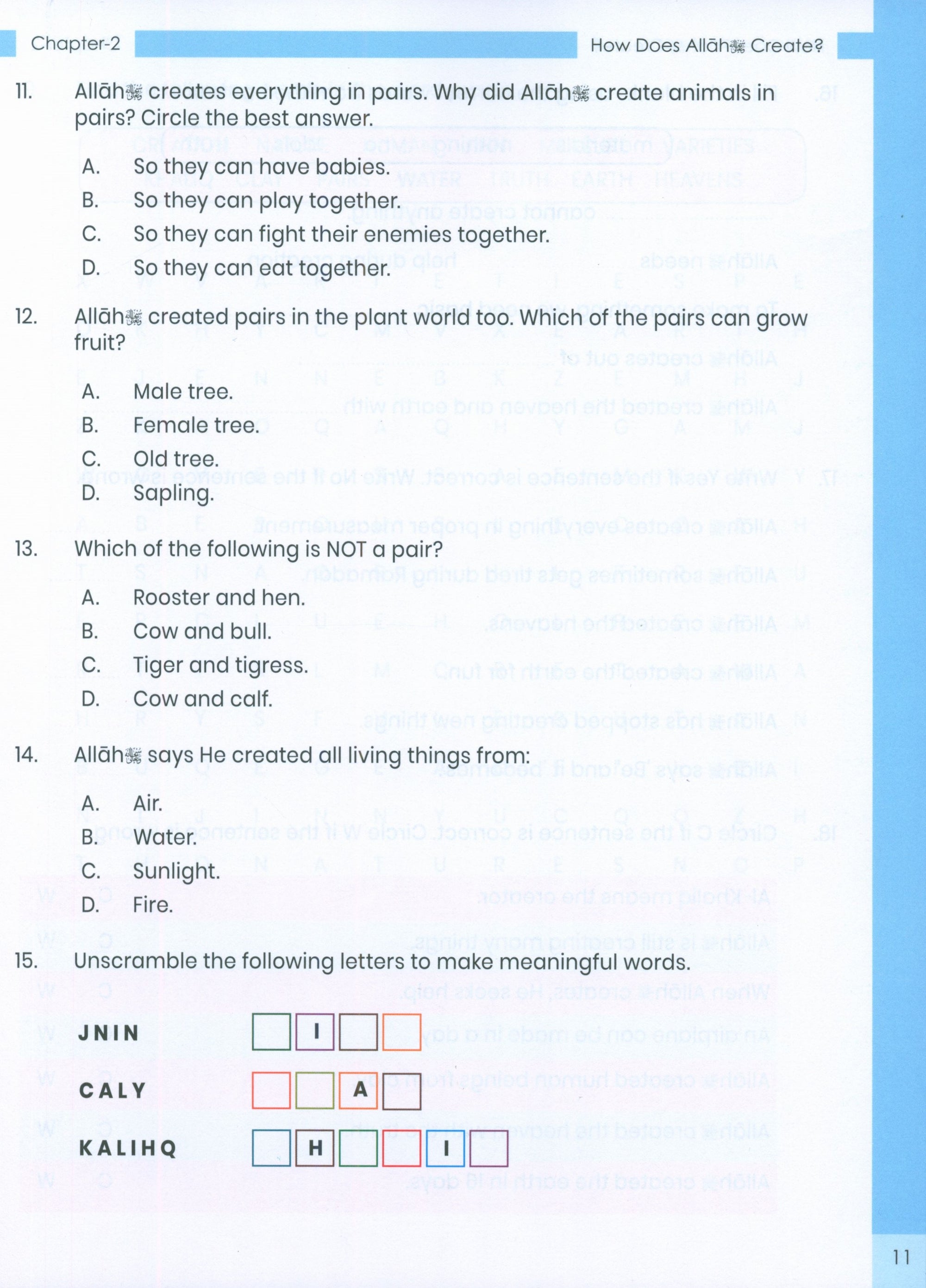 The Message of Islam (Workbook): Level 2