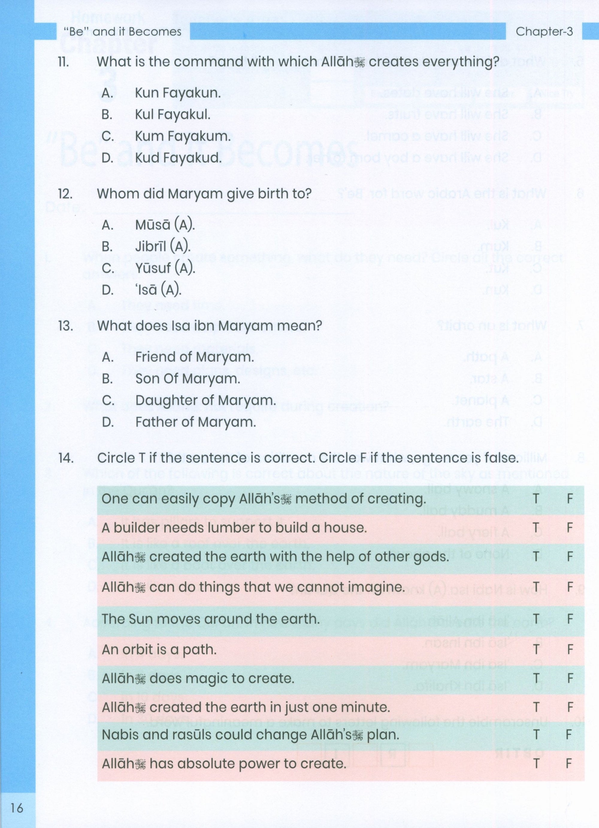 The Message of Islam (Workbook): Level 2