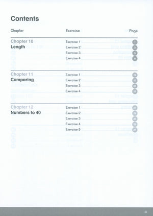 Dimensions Math Workbook 1B