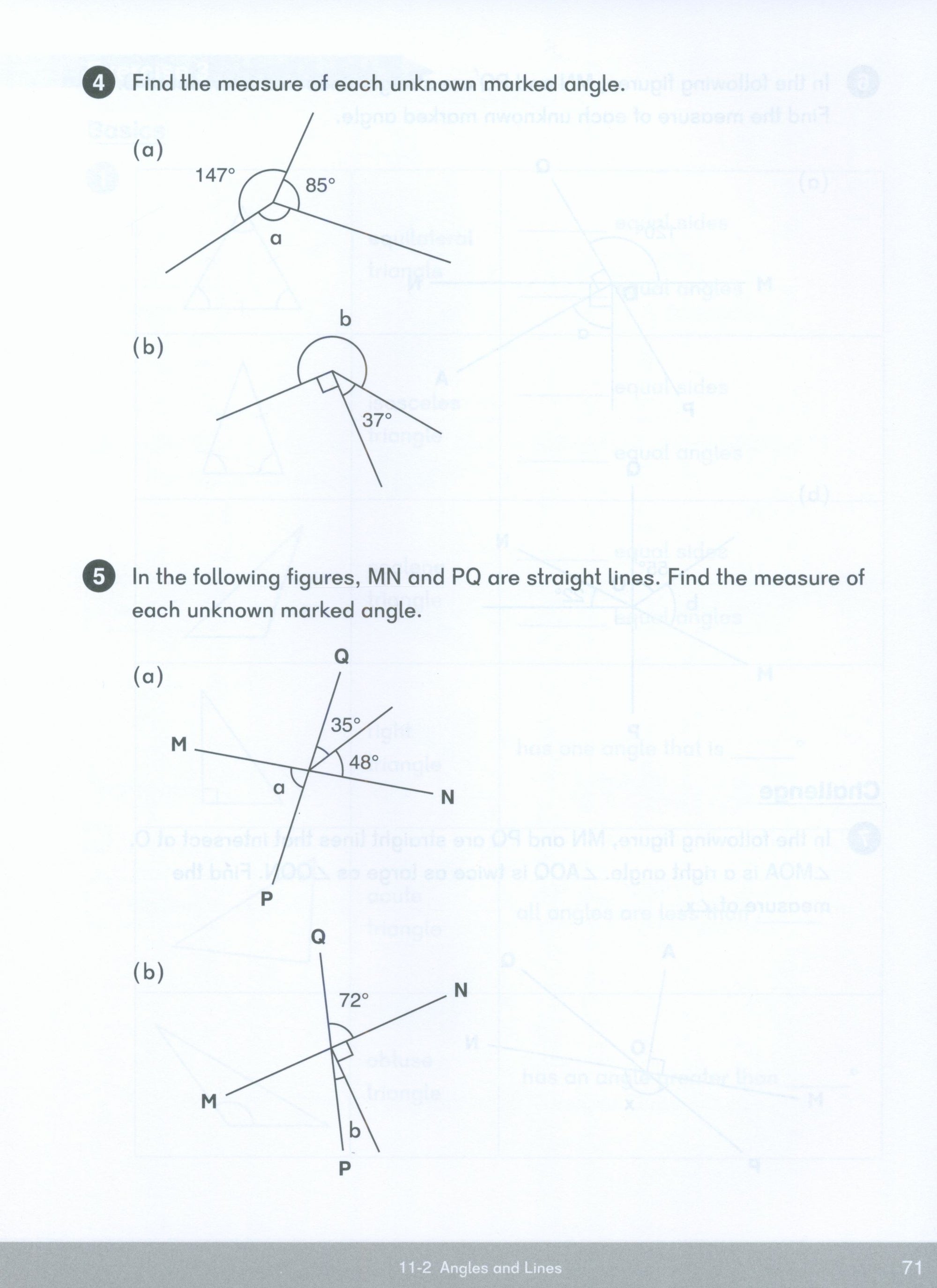 Dimensions Math Workbook 5B