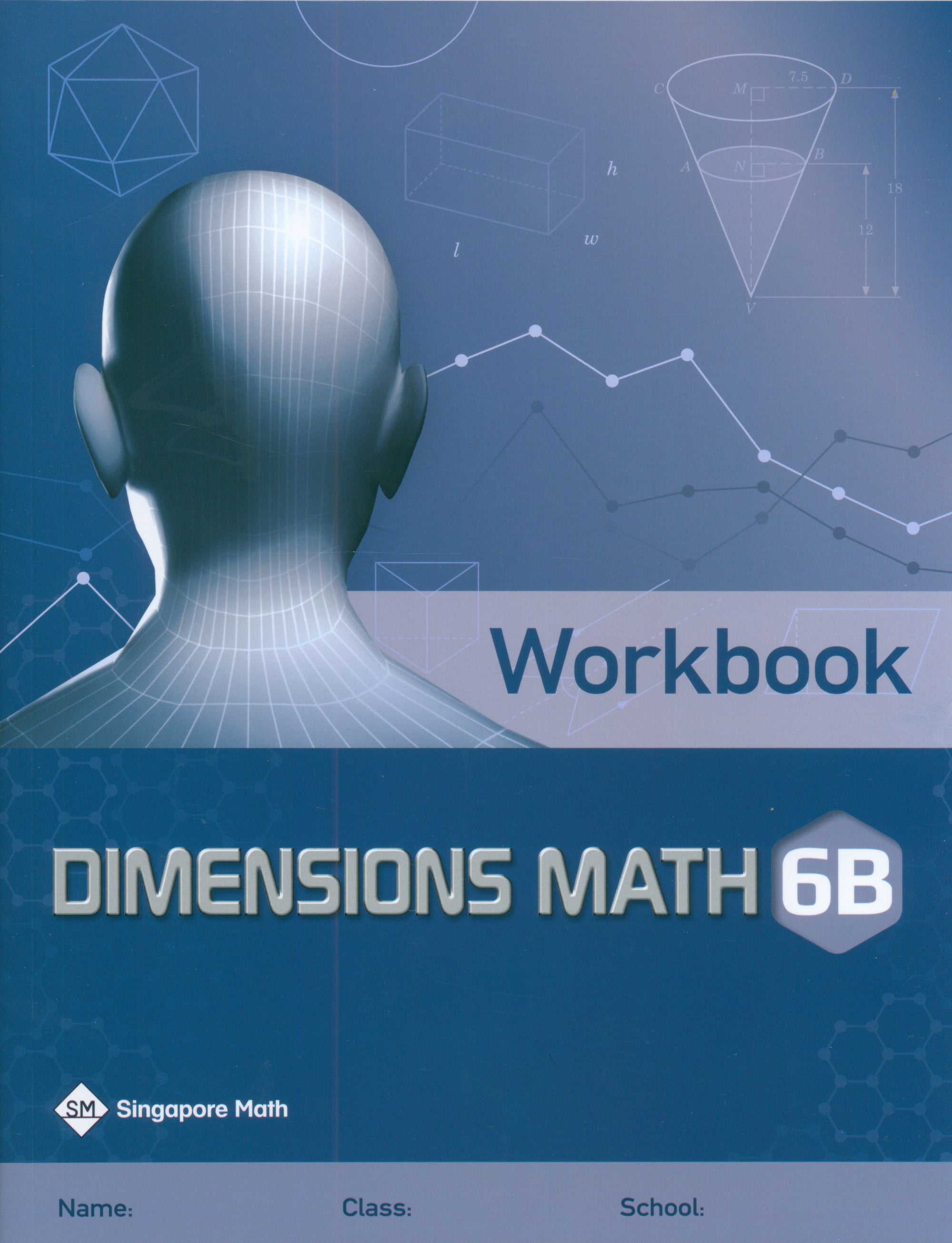 Dimensions Math Workbook 6B