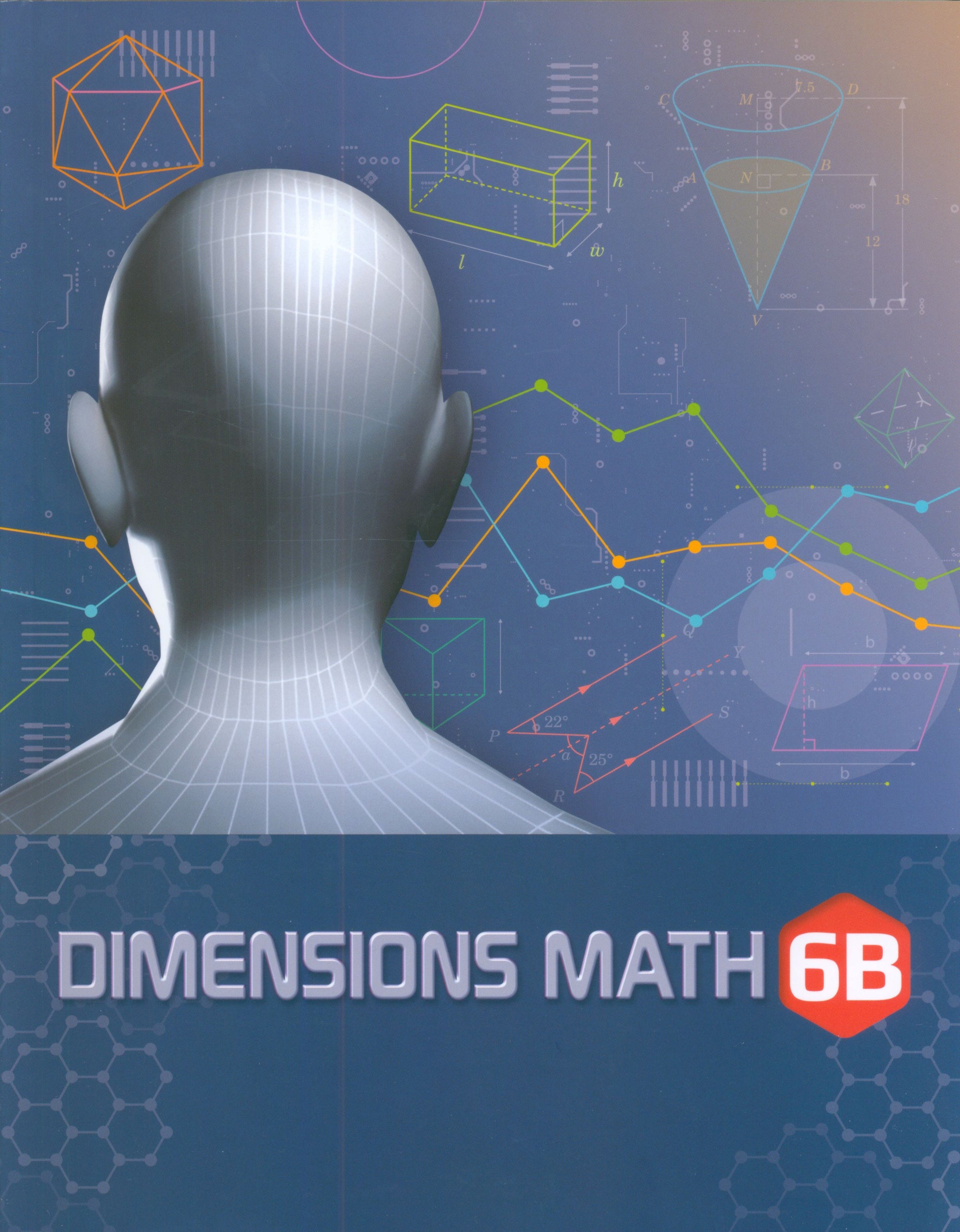 Dimensions Math Textbook 6B