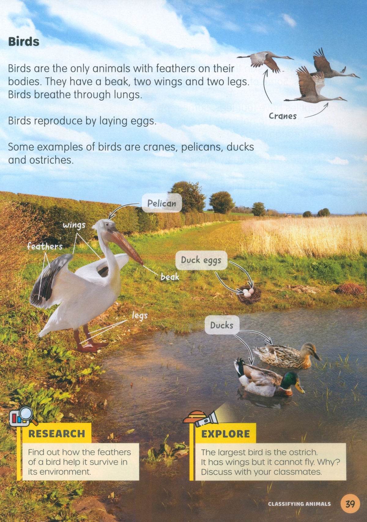 MPH Science Intl (2E) Textbook Primary 3