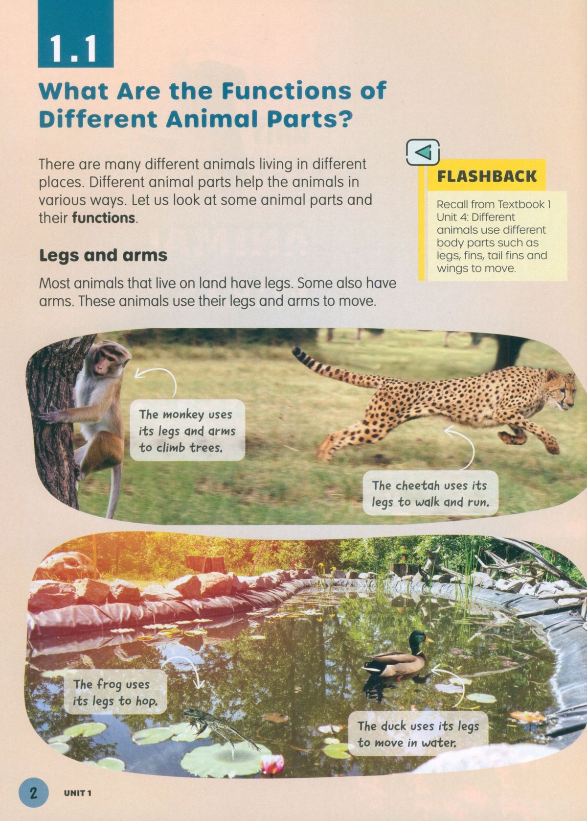MPH Science Intl (2E) Textbook Primary 4