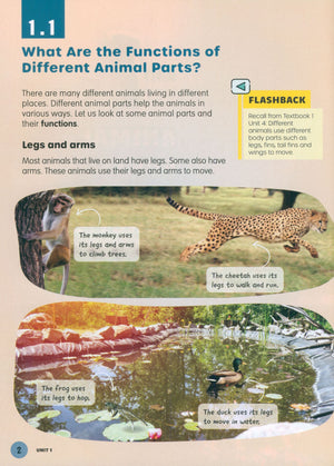 MPH Science Intl (2E) Textbook Primary 4
