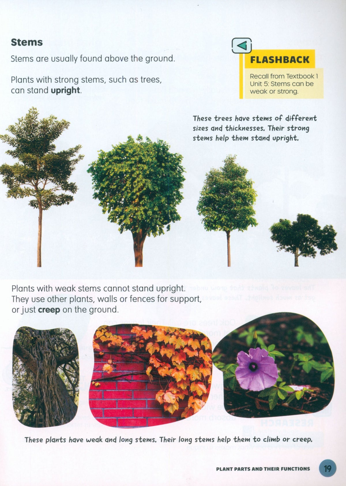 MPH Science Intl (2E) Textbook Primary 4