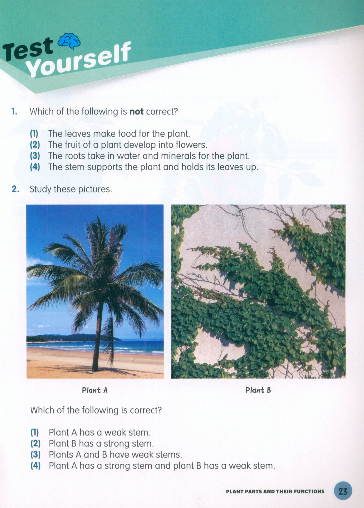 MPH Science Intl (2E) Textbook Primary 4