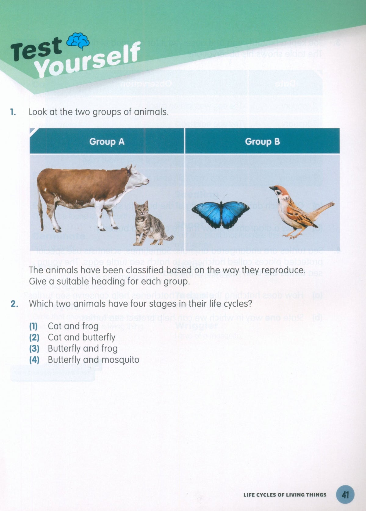 MPH Science Intl (2E) Textbook Primary 4