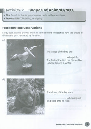 MPH Science Intl (2E) Activity Book Primary 4