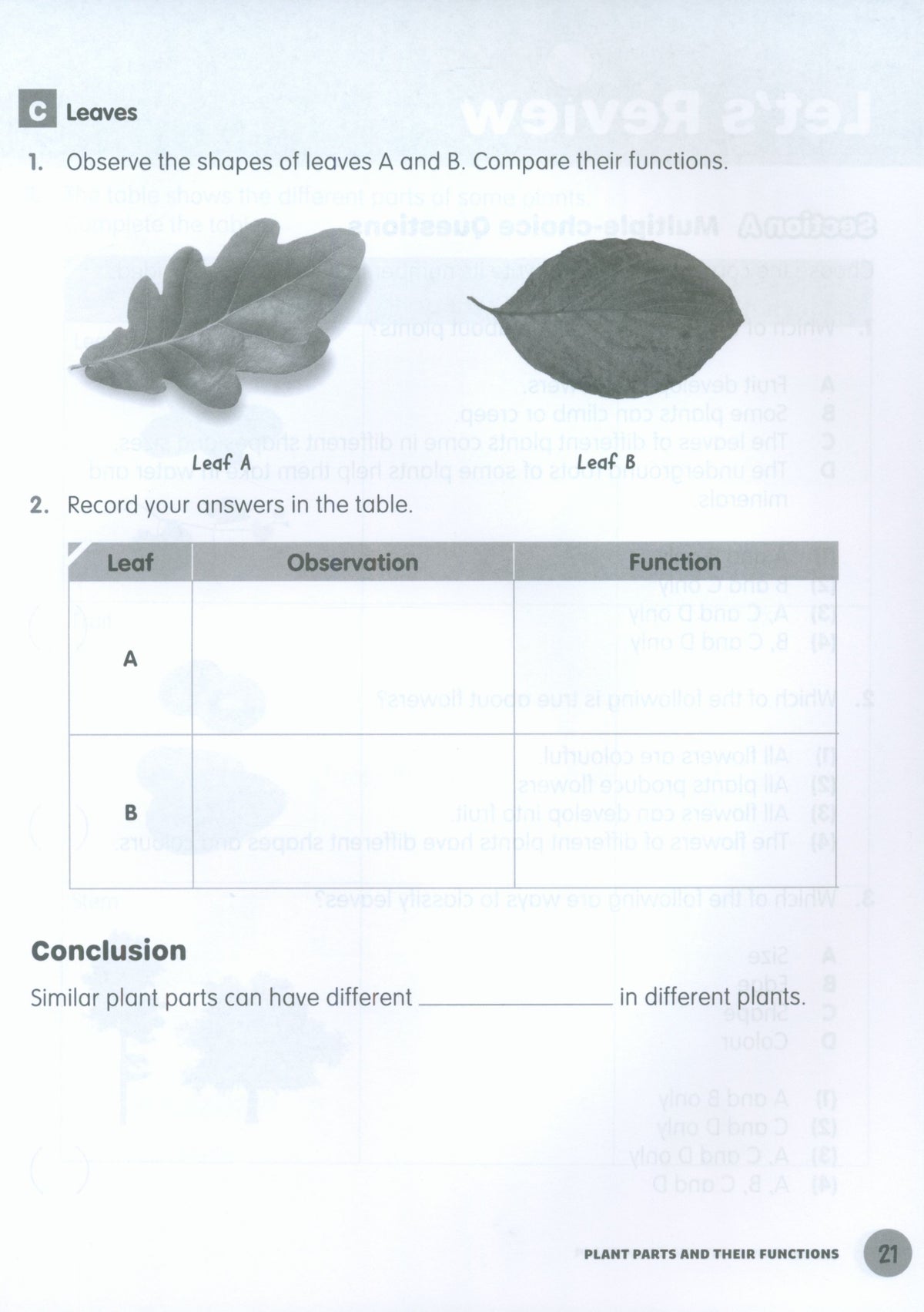 MPH Science Intl (2E) Activity Book Primary 4