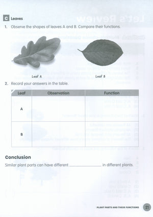 MPH Science Intl (2E) Activity Book Primary 4