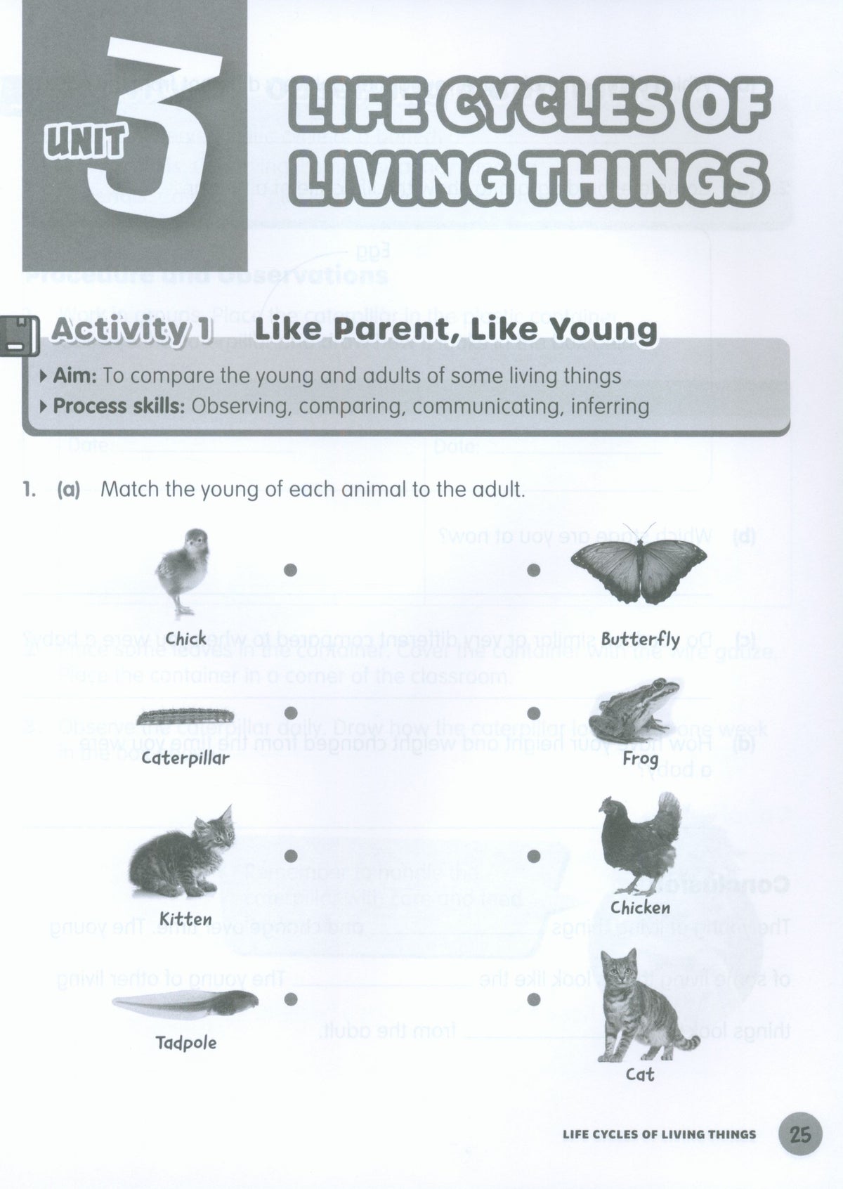MPH Science Intl (2E) Activity Book Primary 4