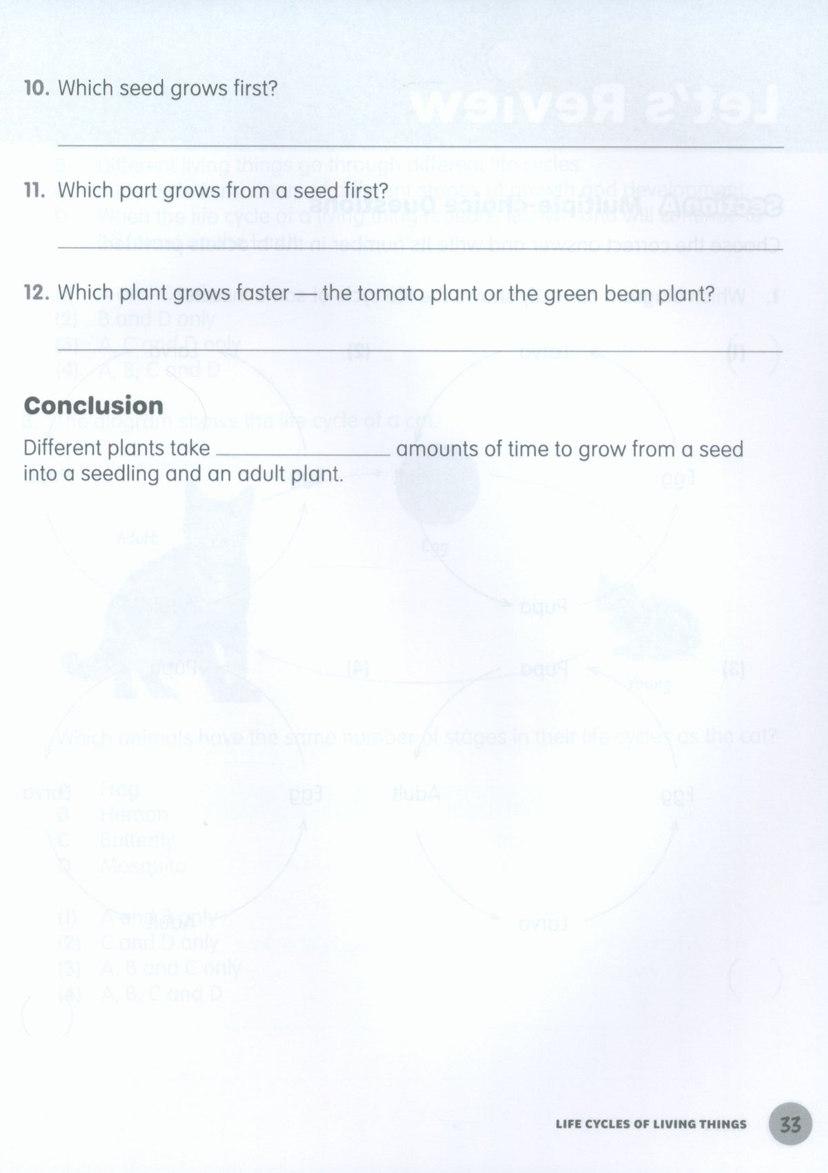 MPH Science Intl (2E) Activity Book Primary 4