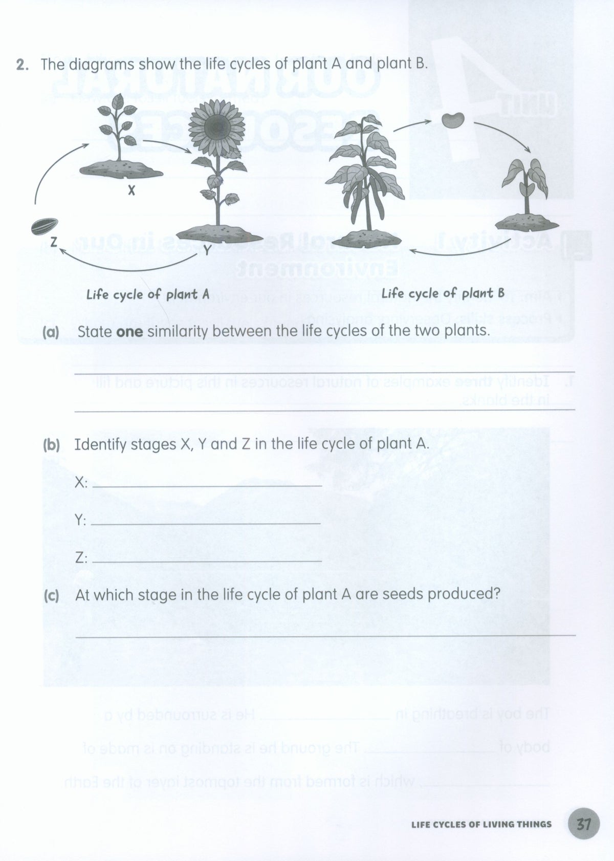 MPH Science Intl (2E) Activity Book Primary 4