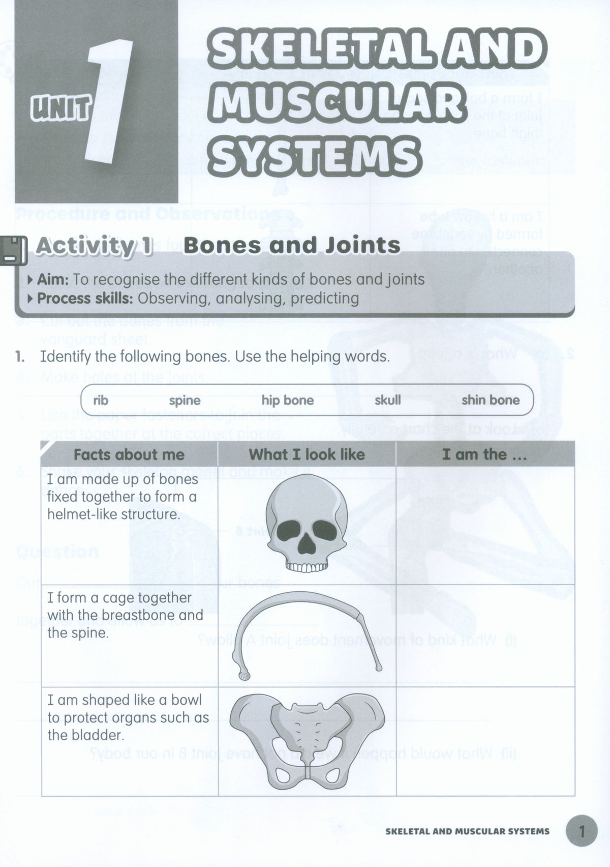 MPH Science Intl (2E) Activity Book Primary 5