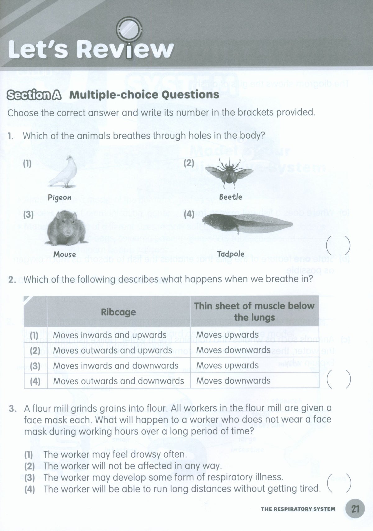MPH Science Intl (2E) Activity Book Primary 5