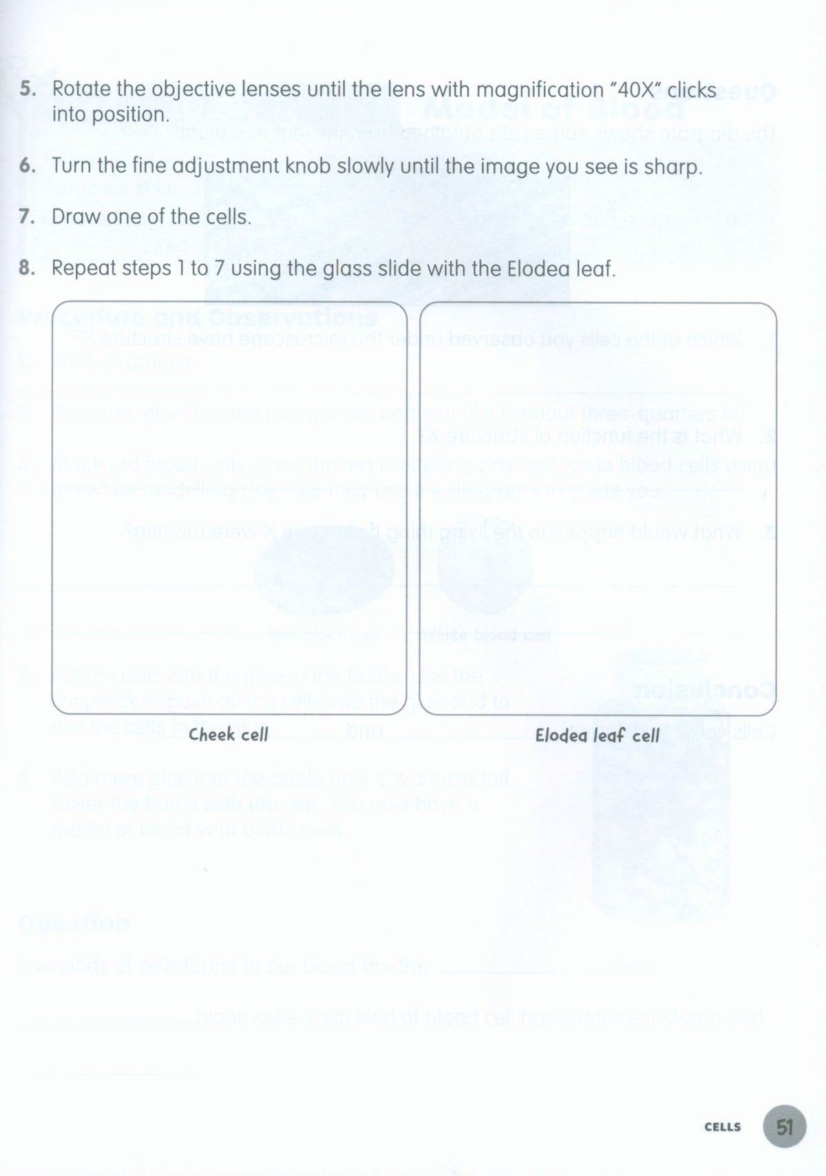 MPH Science Intl (2E) Activity Book Primary 5