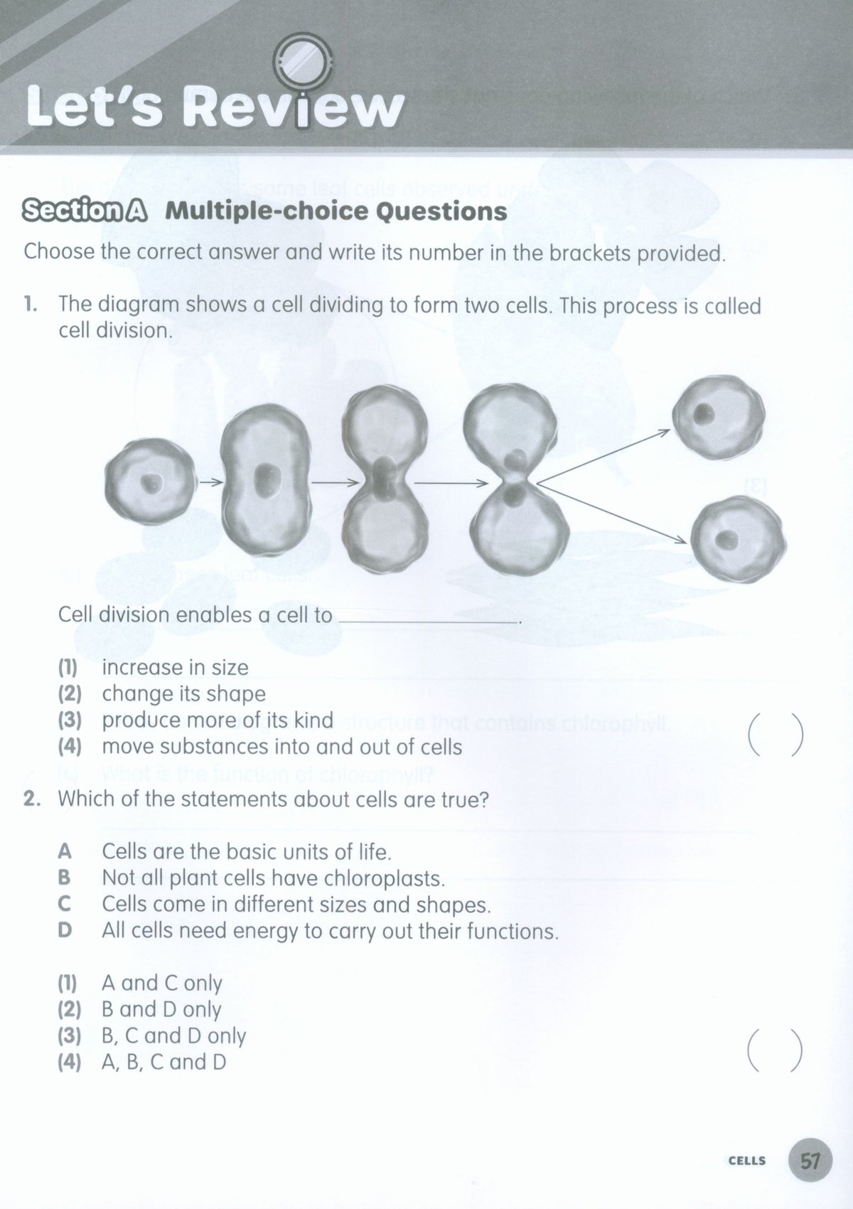 MPH Science Intl (2E) Activity Book Primary 5