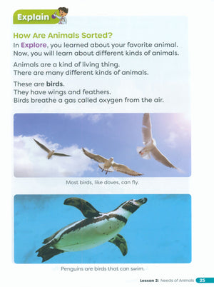 كتاب تدريبات العلوم الابتدائي GKB