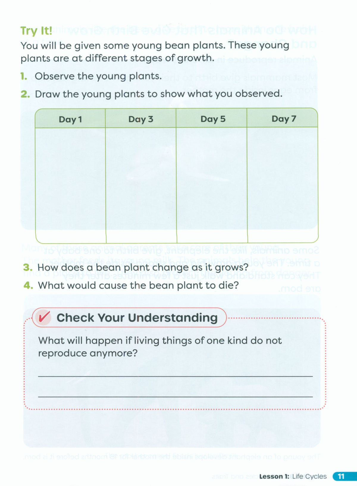 Primary Science Worktext G3B