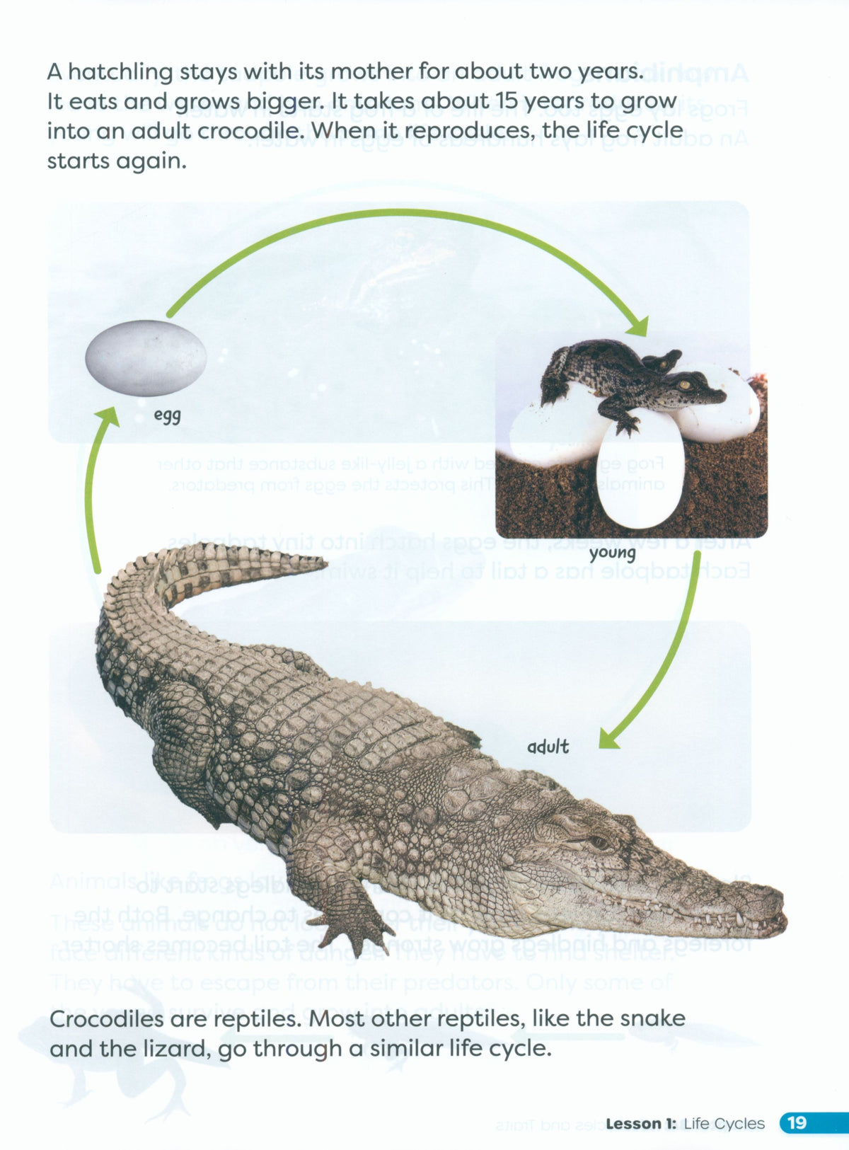 Primary Science Worktext G3B