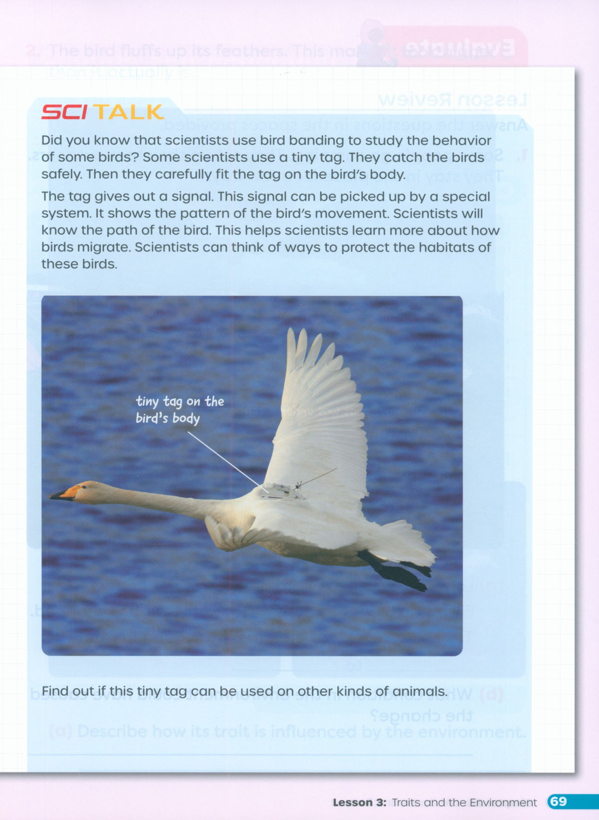 Primary Science Worktext G3B