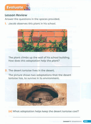 Primary Science Worktext G3B