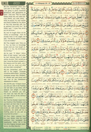 القرآن الكريم مقدِس ترجمة كلمة بكلمة وتجويد ملون حجم B5 7.5 × 9