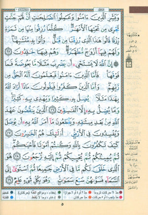 Tajweed Quran without Case 4