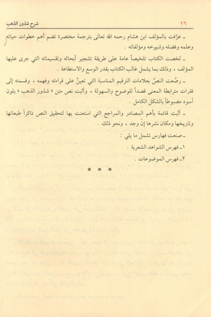 شرح شذور الذهب في معرفة كلام العرب