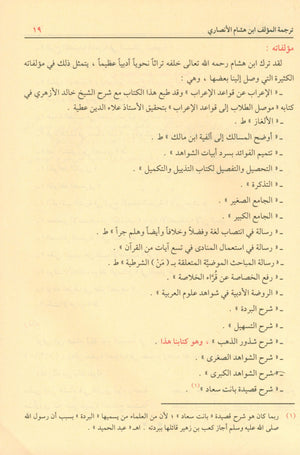 شرح شذور الذهب في معرفة كلام العرب