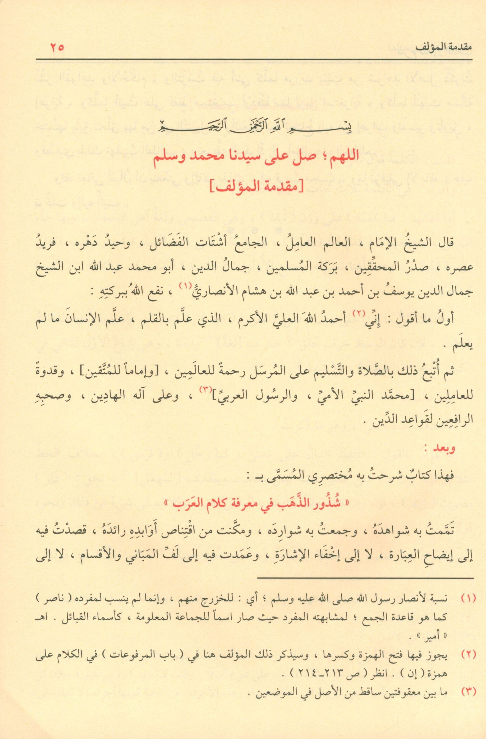 شرح شذور الذهب في معرفة كلام العرب