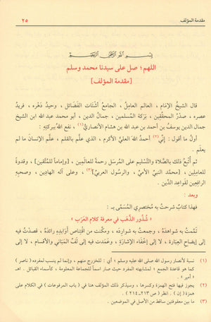 شرح شذور الذهب في معرفة كلام العرب