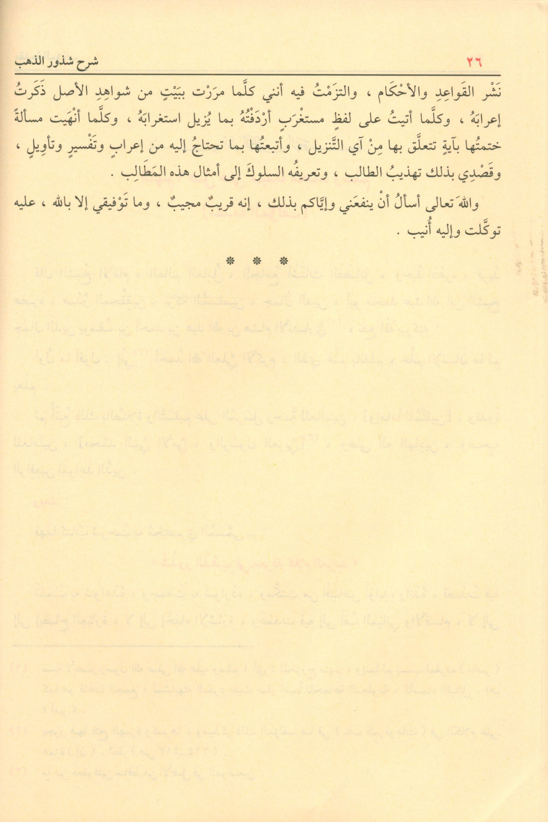 شرح شذور الذهب في معرفة كلام العرب