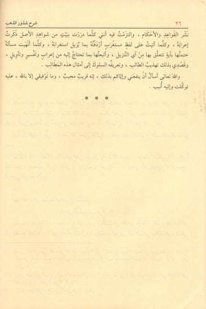 شرح شذور الذهب في معرفة كلام العرب