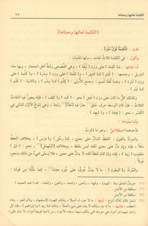 شرح شذور الذهب في معرفة كلام العرب