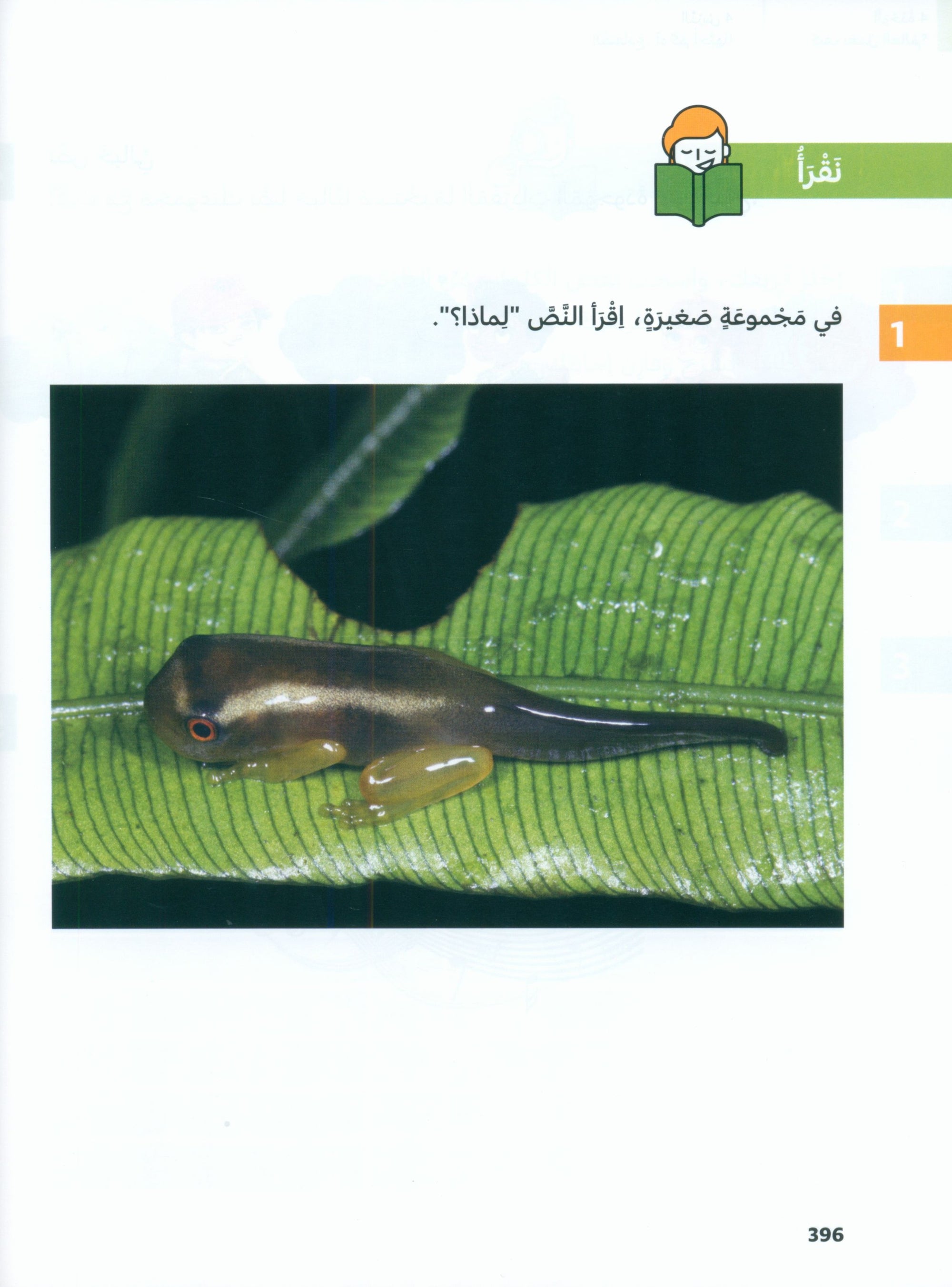 In Arabic Textbook: Grade 4 Part 2 بالعربي