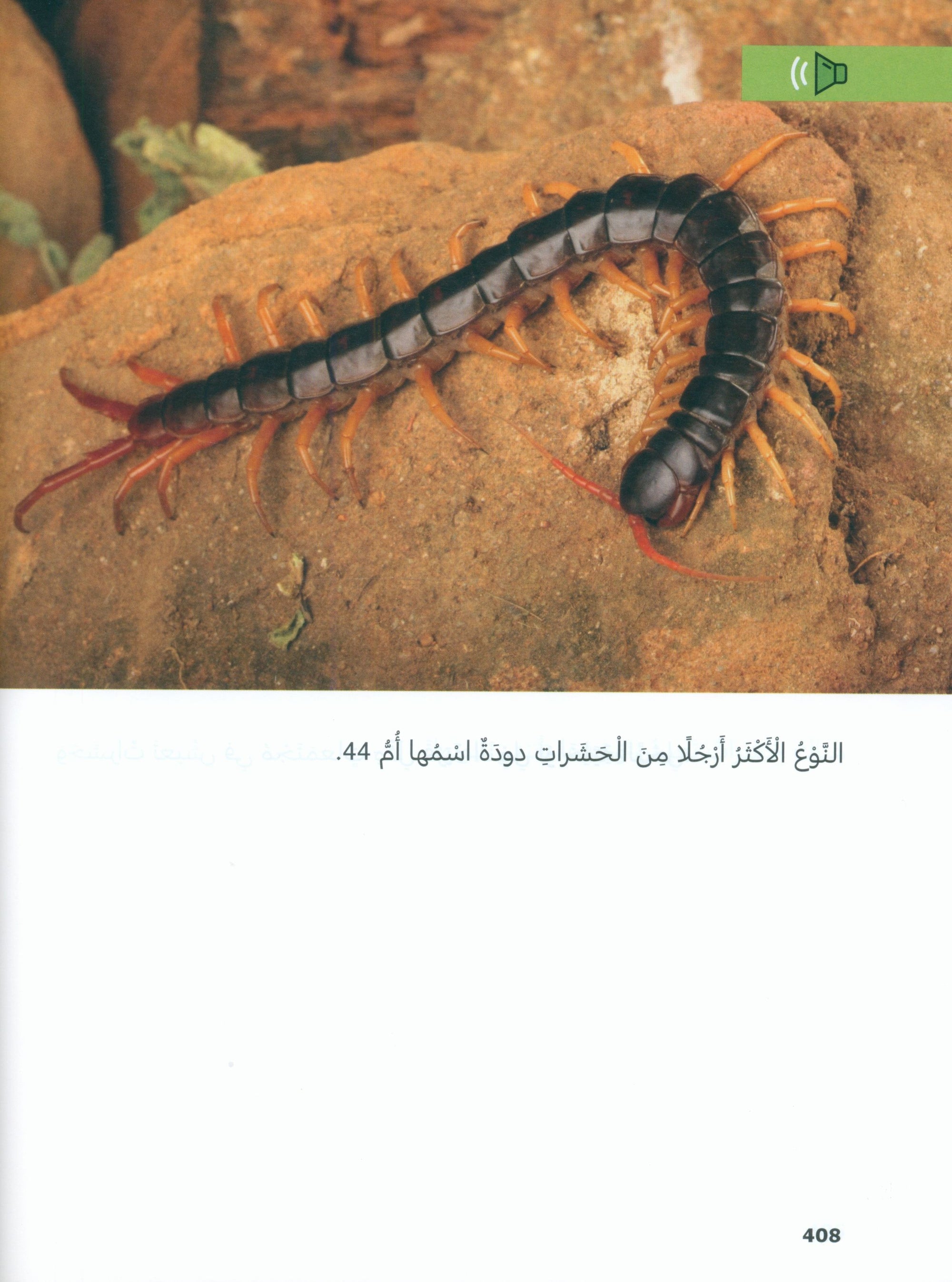 In Arabic Textbook: Grade 4 Part 2 بالعربي