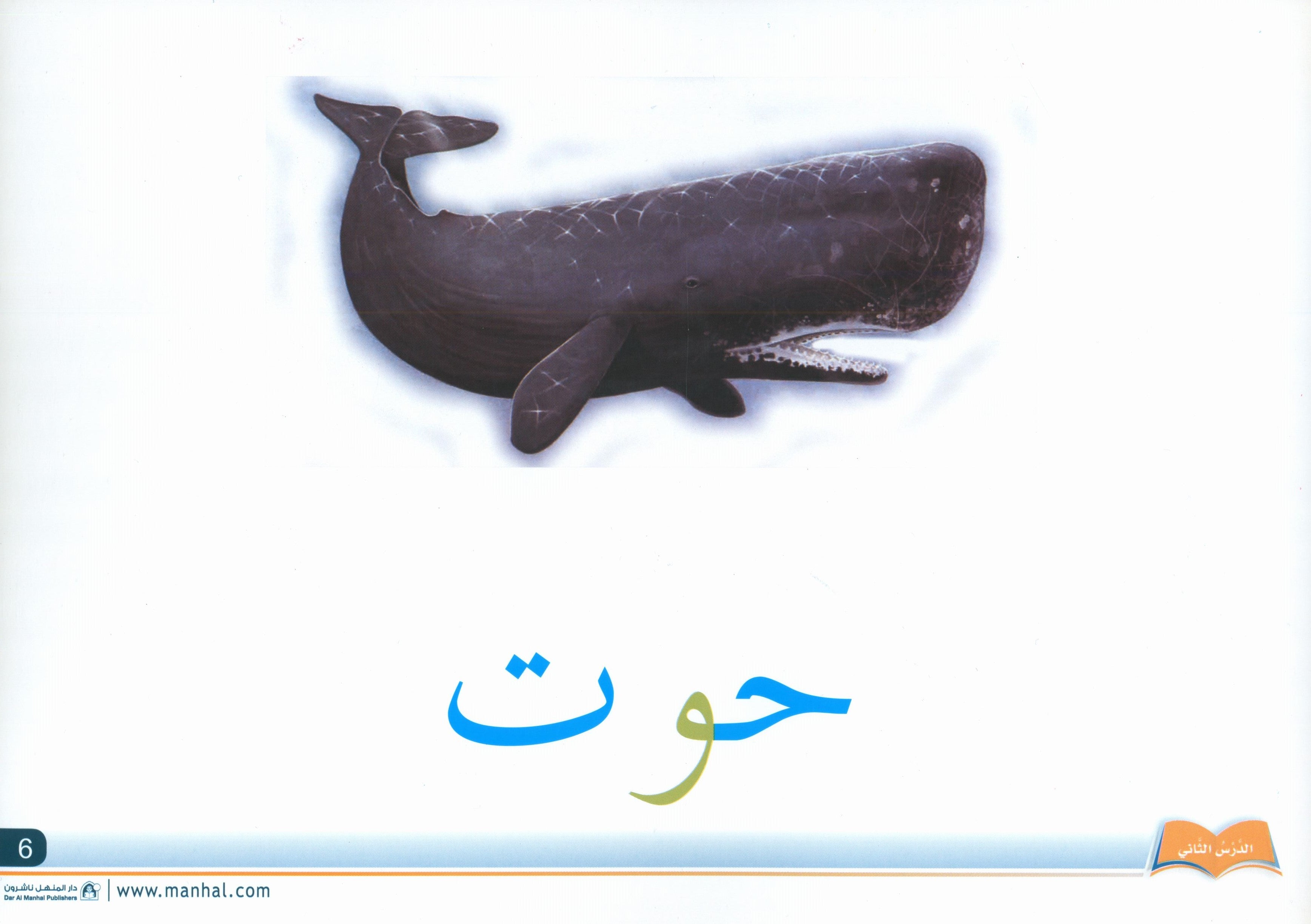 Arabic Friends Flash Cards Level PreK أصدقاء العربية البطاقات التعليمية (مستوى ما قبل الروضة)