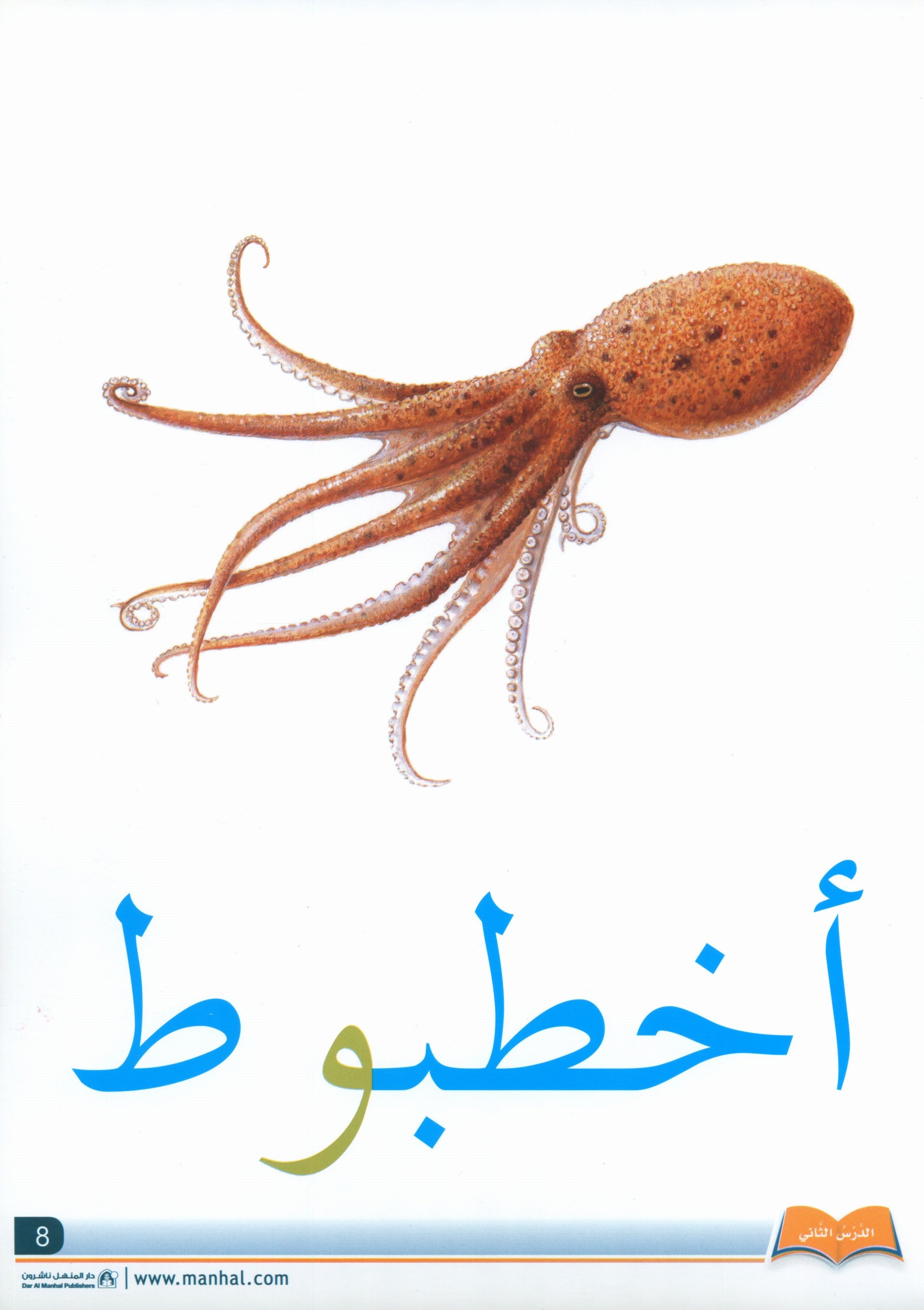 Arabic Friends Flash Cards Level PreK أصدقاء العربية البطاقات التعليمية (مستوى ما قبل الروضة)