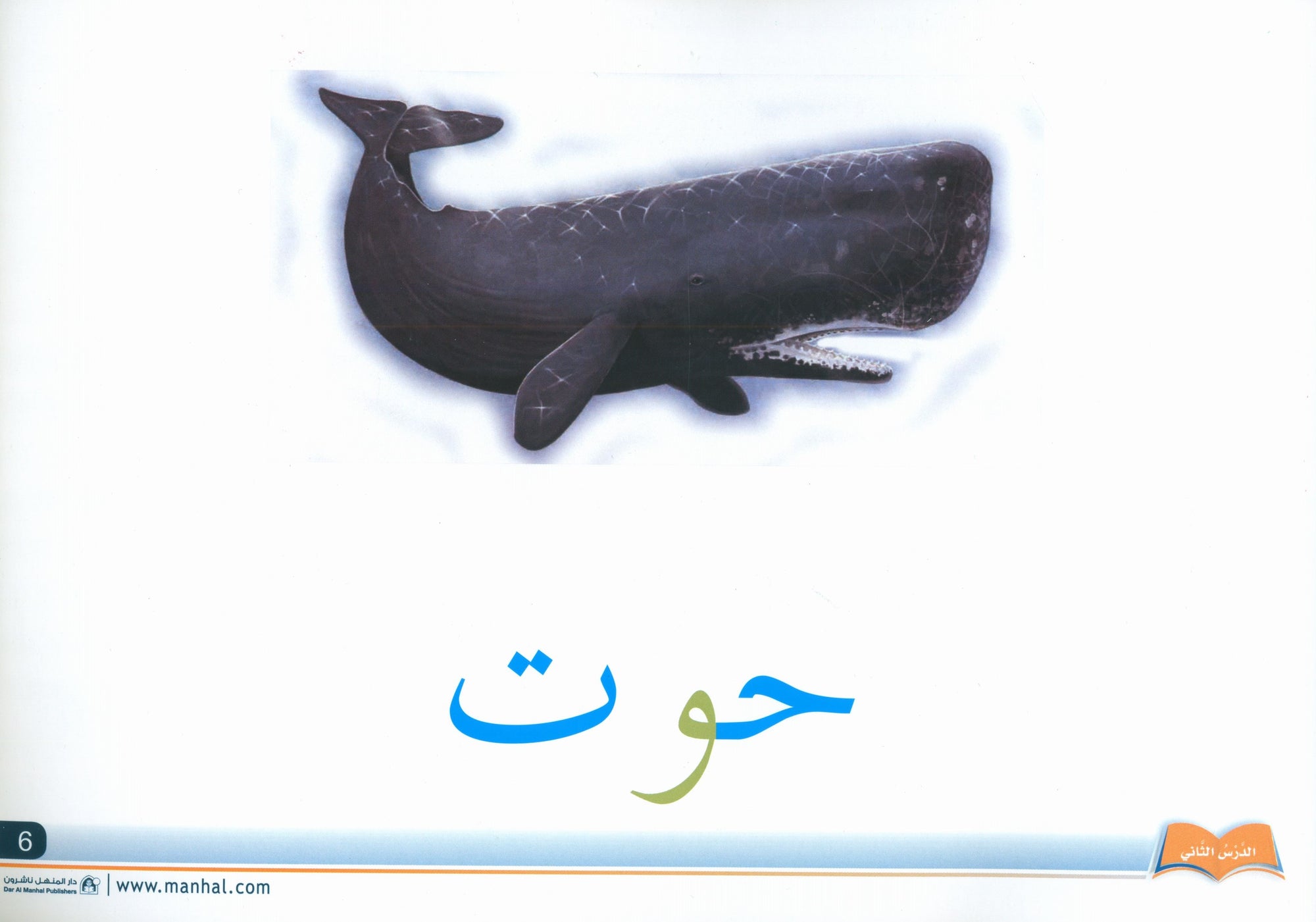 Arabic Friends Flash Cards Level KG أصدقاء العربية البطاقات التعليمية